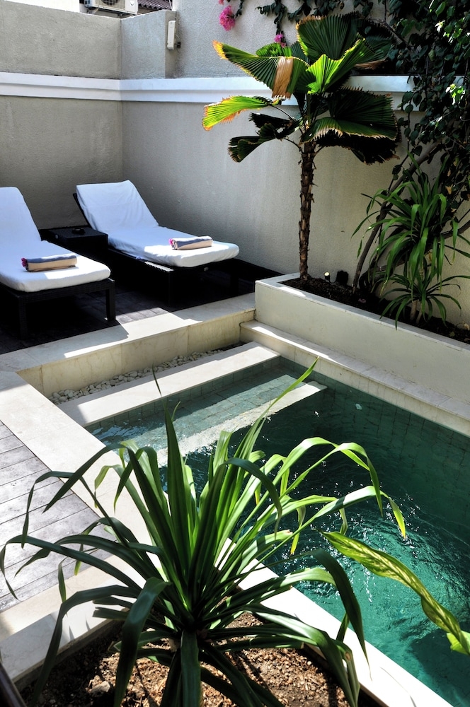 テラス / パティオ