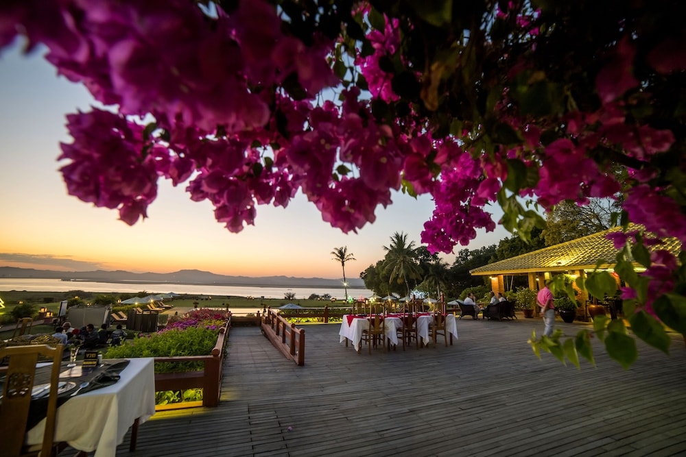 テラス / パティオ