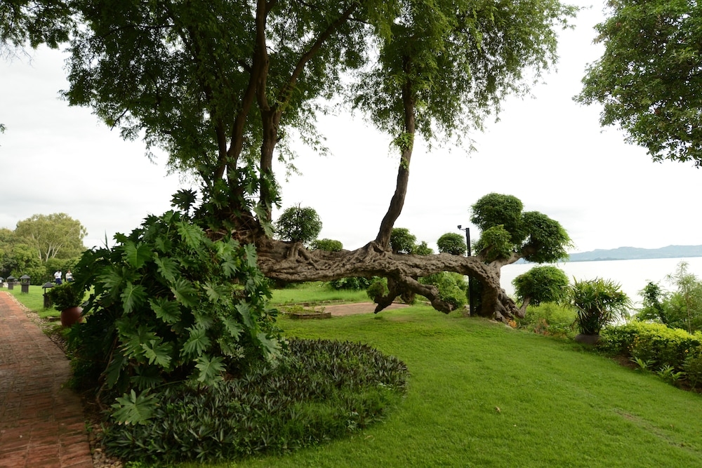 部屋からの景観