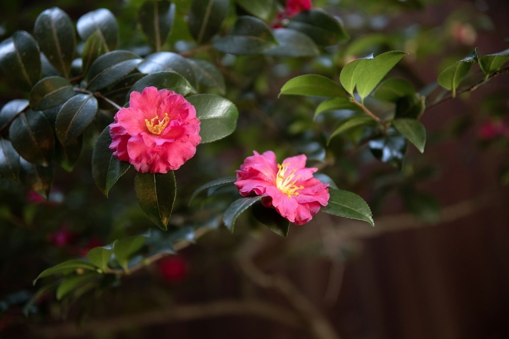 部屋からの景観