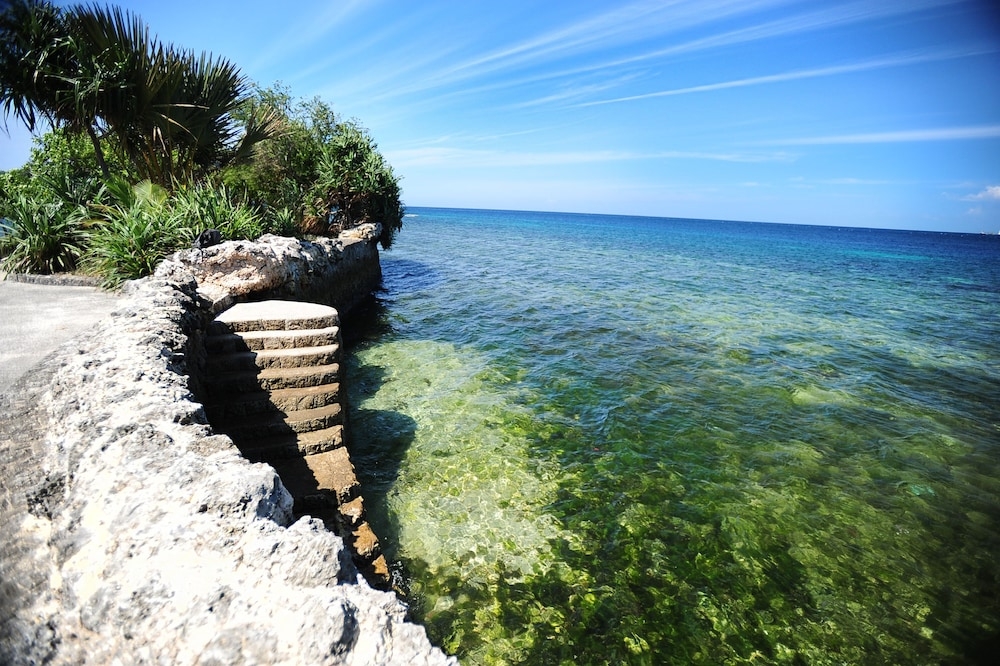 施設からの眺望