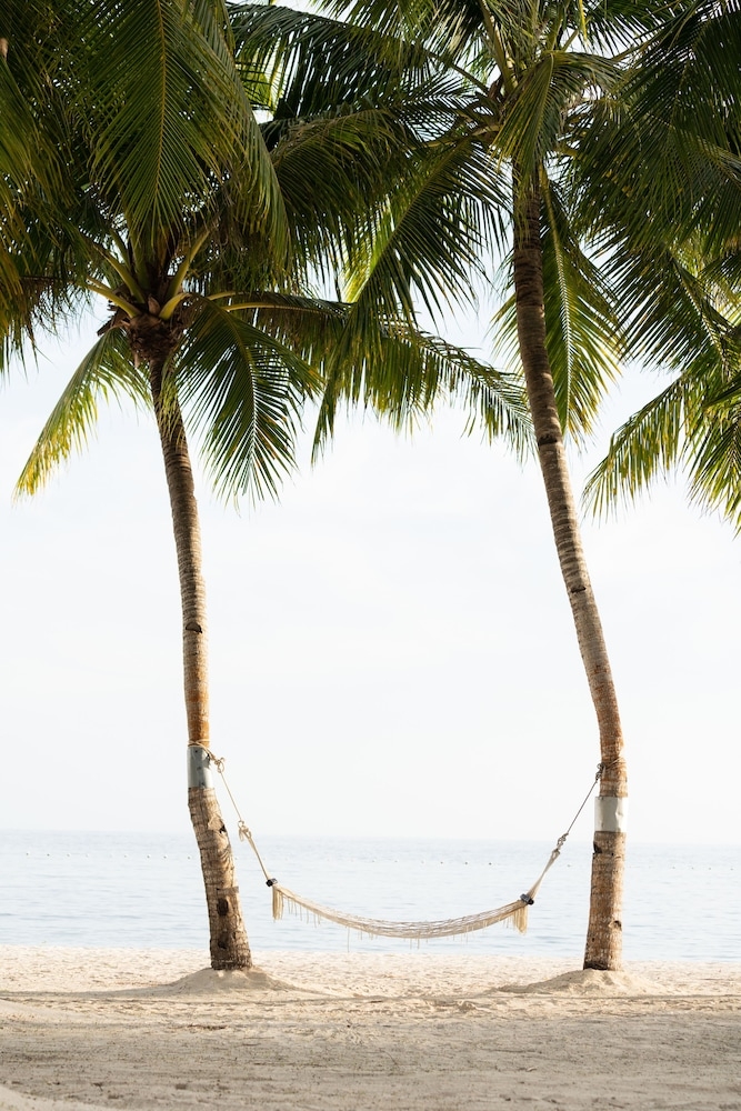 部屋からの景観