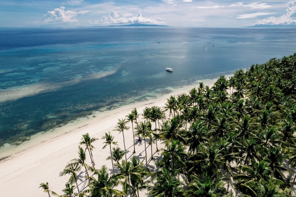 ビーチ / オーシャン ビュー