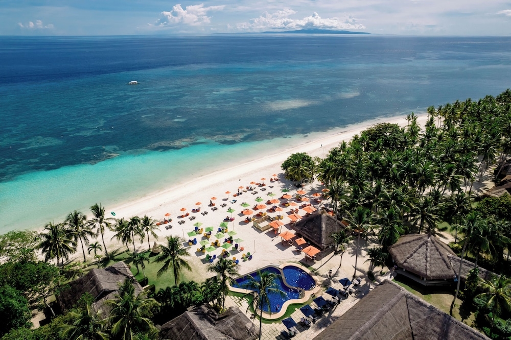 ビーチ / オーシャン ビュー