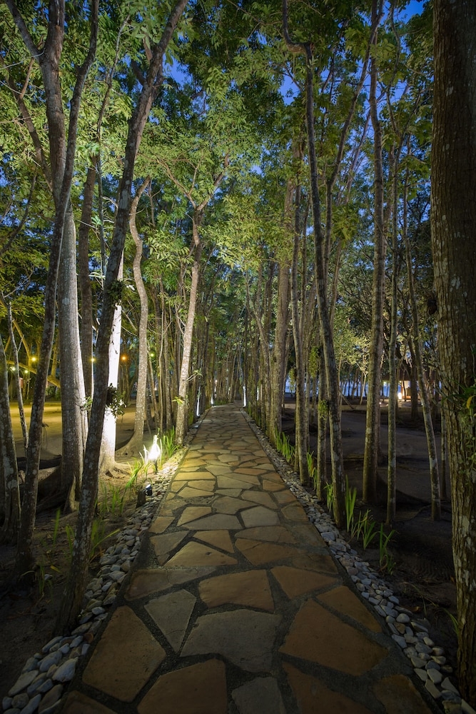 部屋からの景観