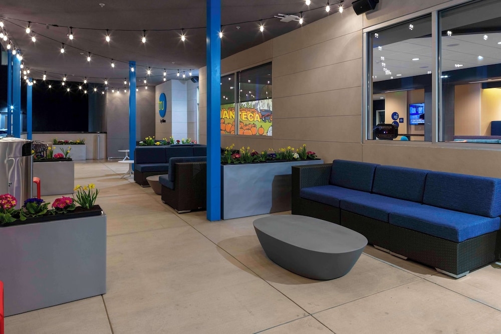 テラス / パティオ