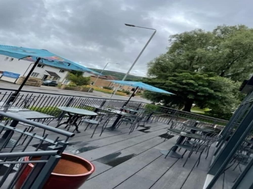 テラス / パティオ