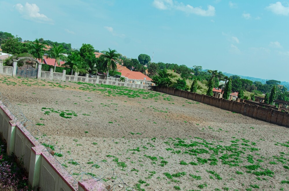 屋外バンケット スペース