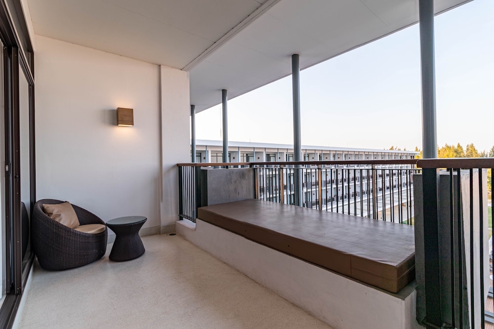 テラス / パティオ