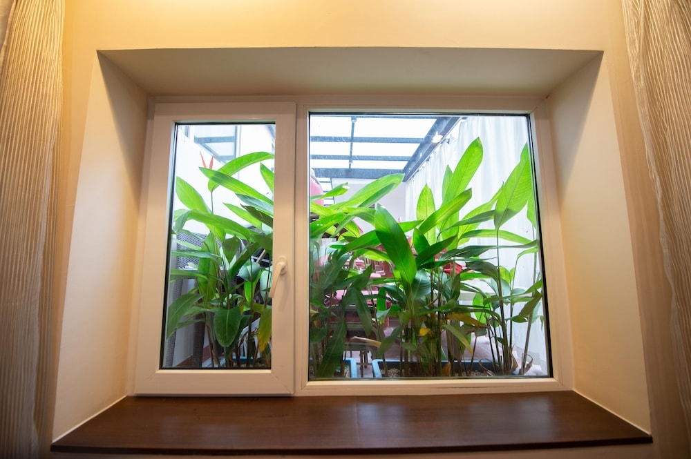 テラス / パティオ