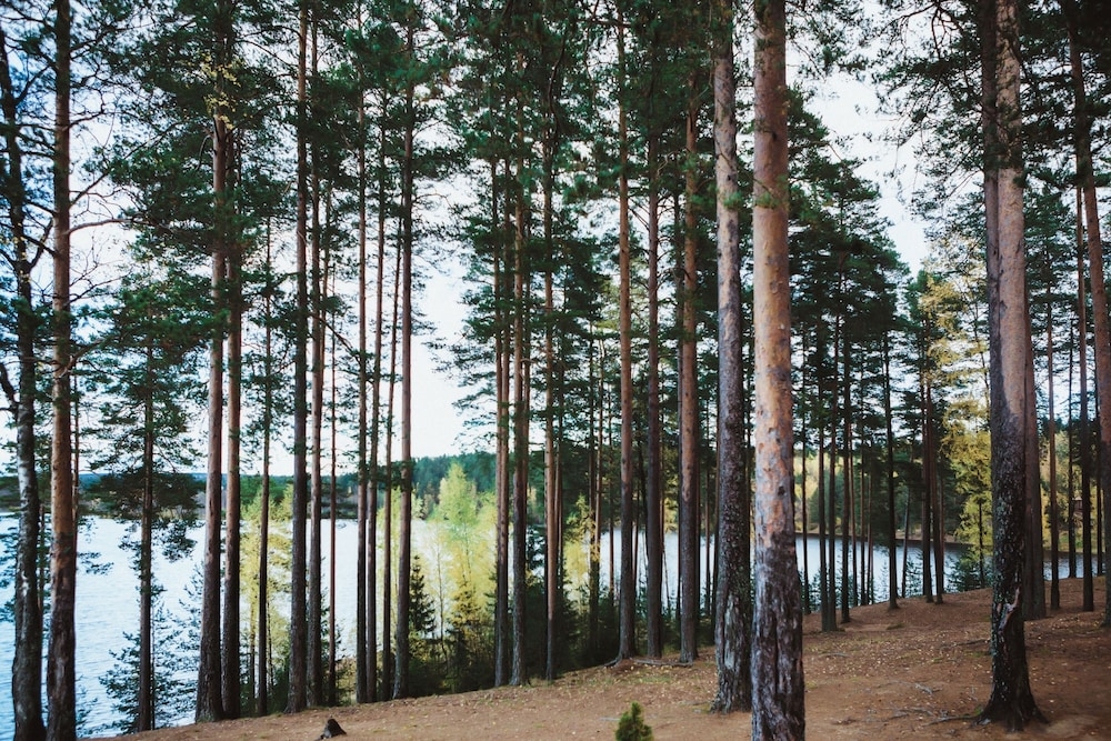 施設からの眺望