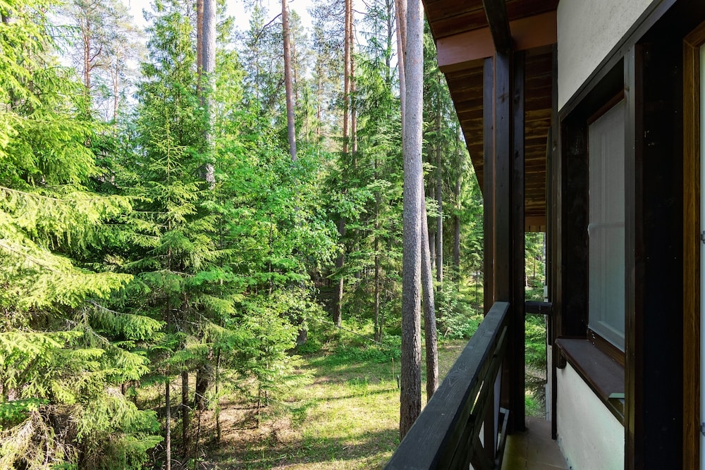 部屋からの景観