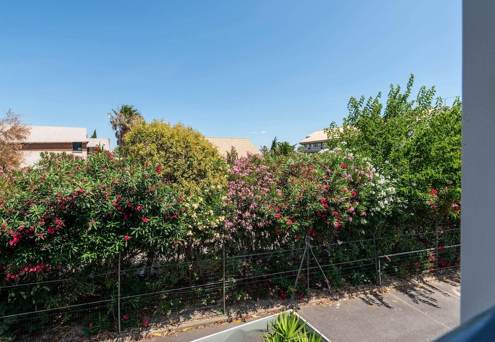 施設からの眺望