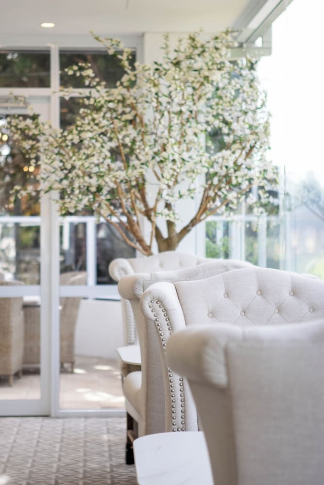 テラス / パティオ