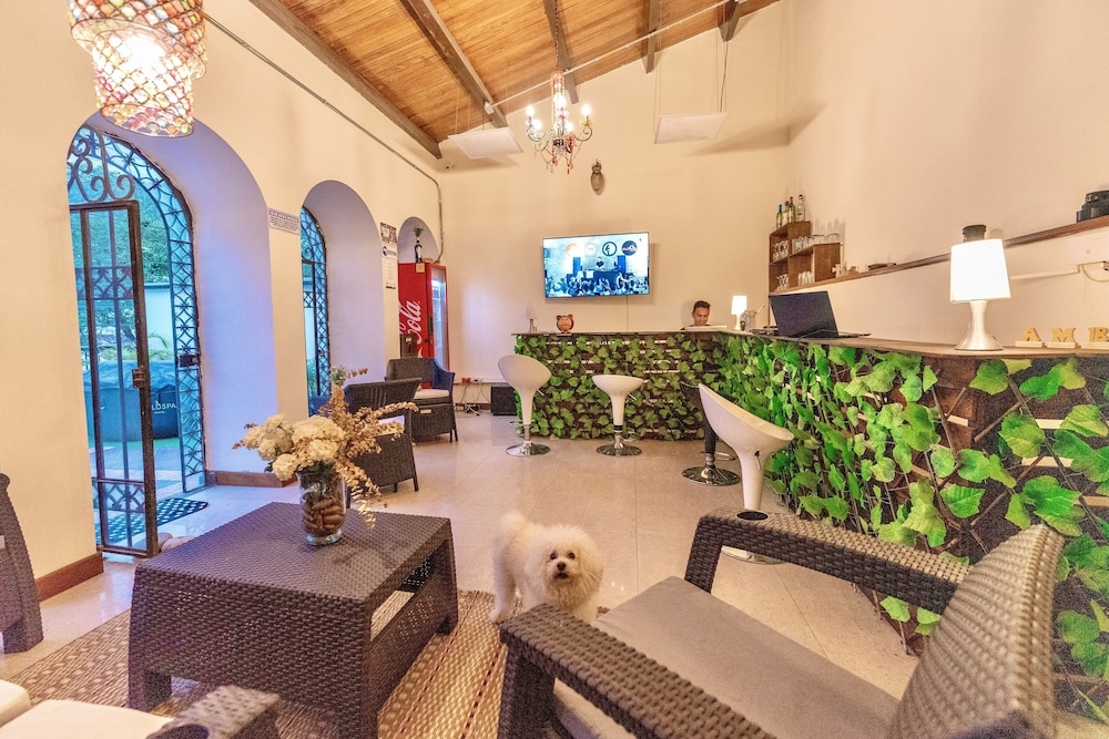 リビング エリア