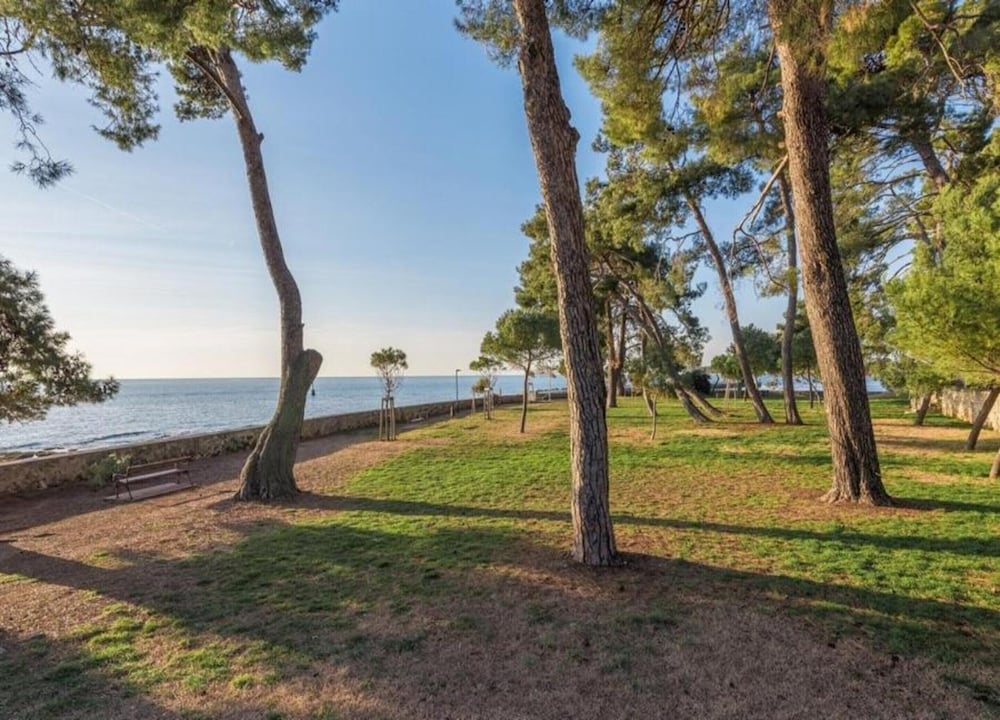 施設からの眺望