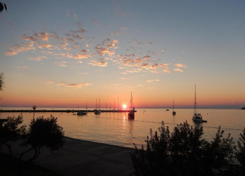 施設からの眺望