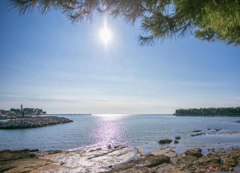 施設からの眺望