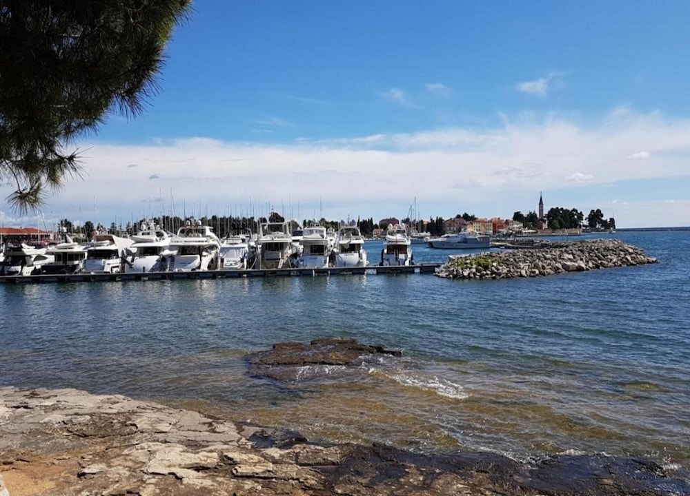 施設からの眺望