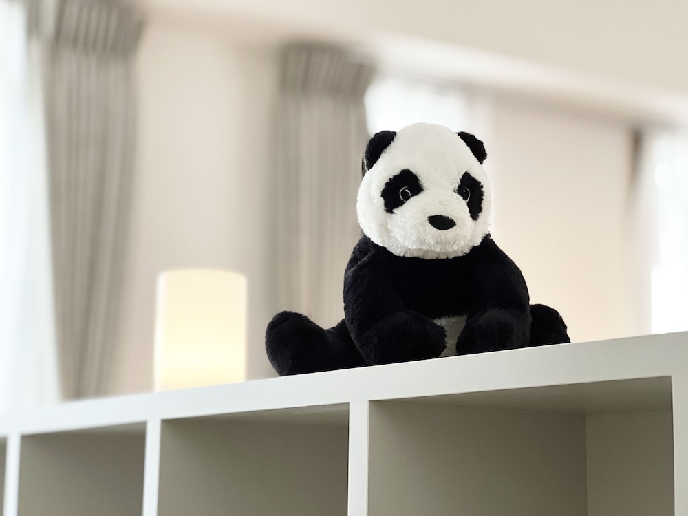 リビング エリア