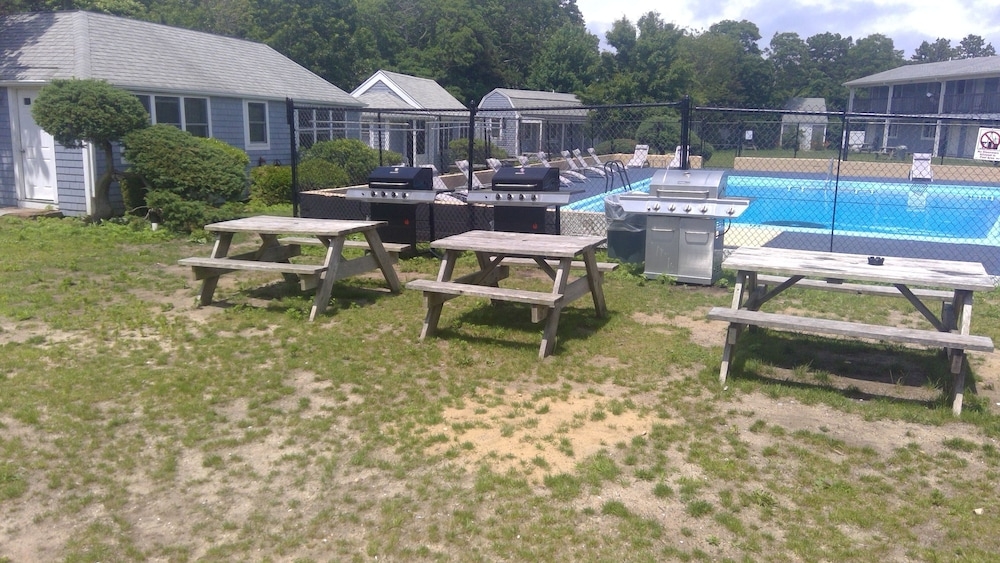 バーベキュー / ピクニック エリア