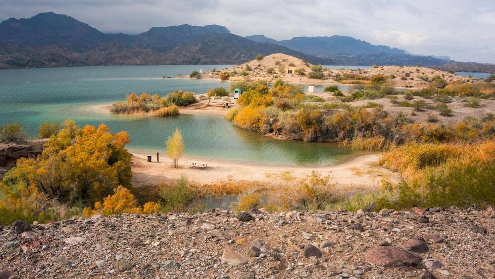 デザート ビュー