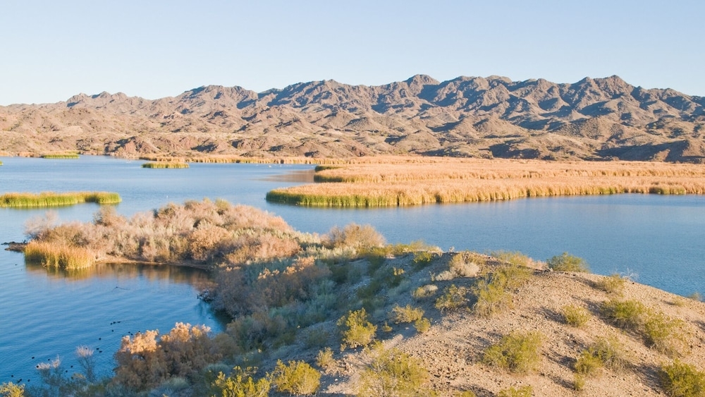 マウンテン ビュー