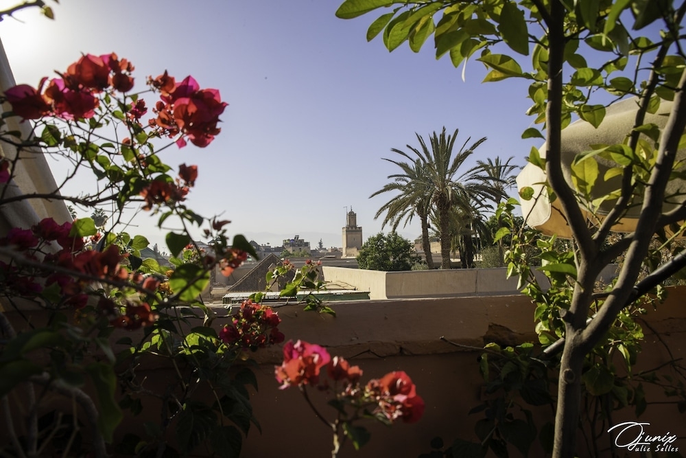 テラス / パティオ