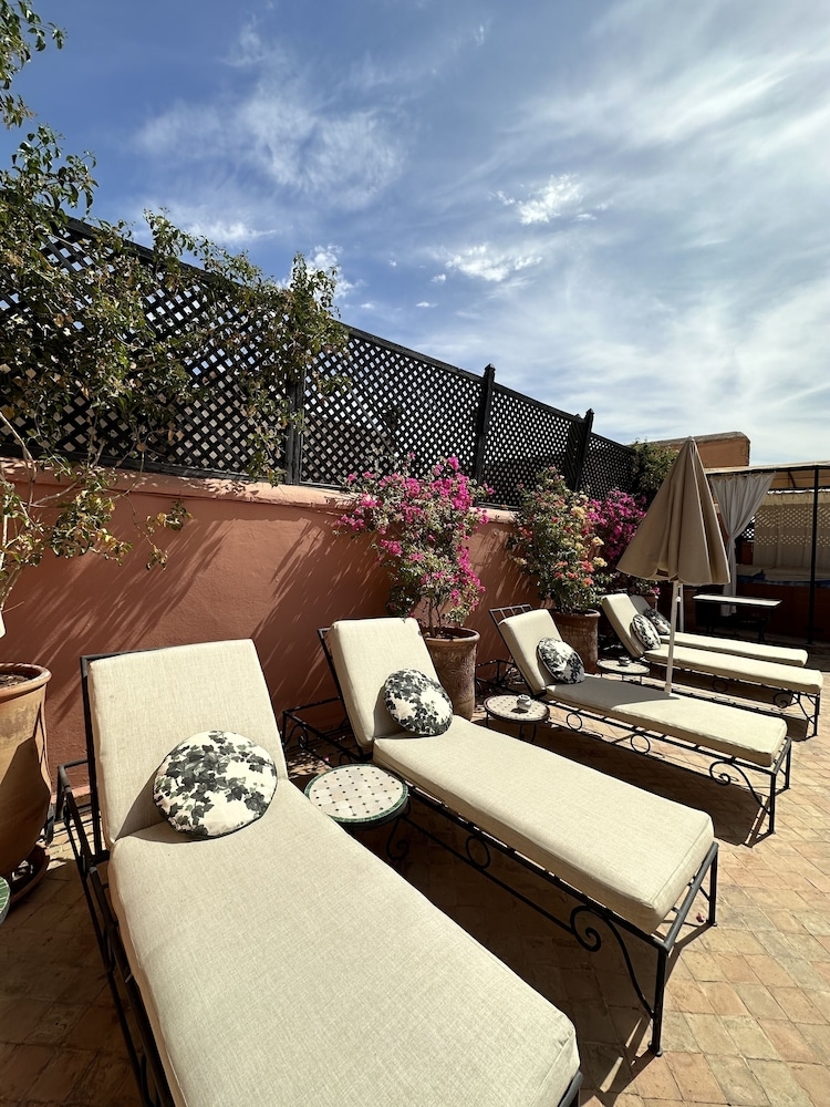 テラス / パティオ