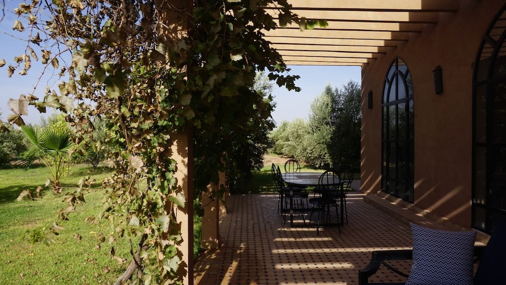 テラス / パティオ