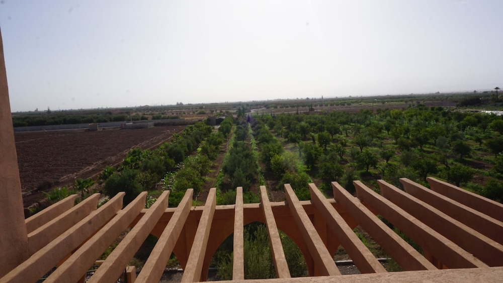 テラス / パティオ