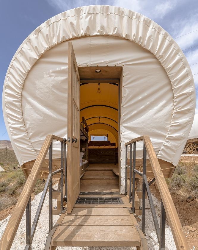 ザイオン ワイルドフラワー,アメリカ西部旅,アメリカロードトリップ