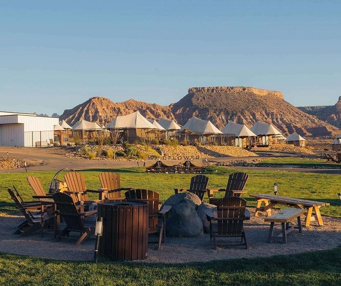 ザイオン ワイルドフラワー,アメリカ西部旅,アメリカロードトリップ