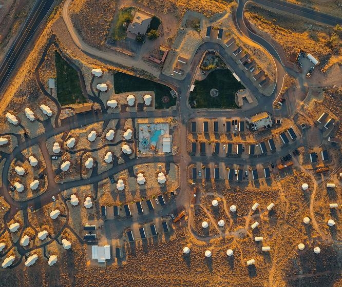 ザイオン ワイルドフラワー,アメリカ西部旅,アメリカロードトリップ