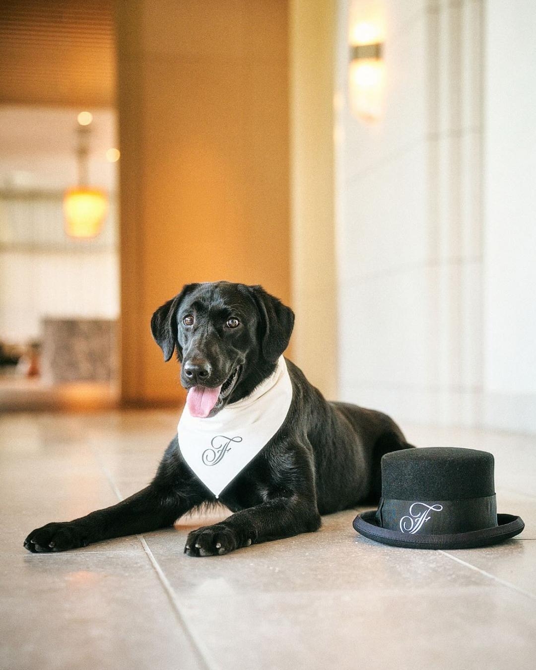 フェアモント東京の最高幸福責任者(CHO)、 セリン