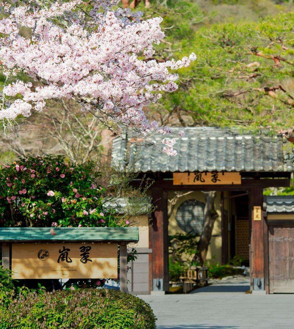 桜咲く 春にぴったり、<br/>日本のお花見宿