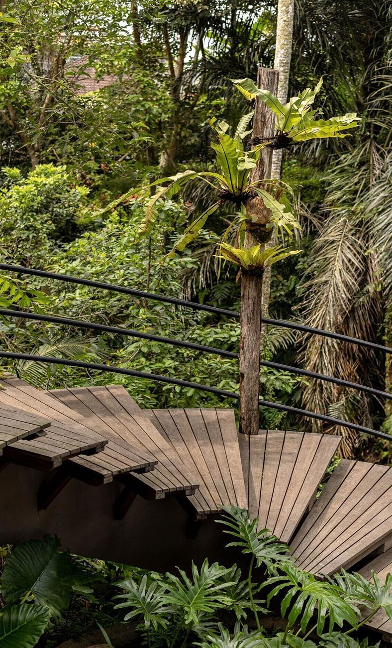 森に包まれて、
バリ・ウブドの
ジャングルビュー宿