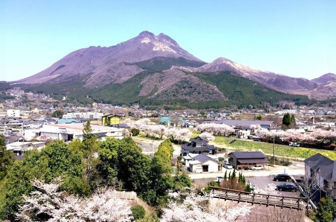由布院 ことぶき 花の庄