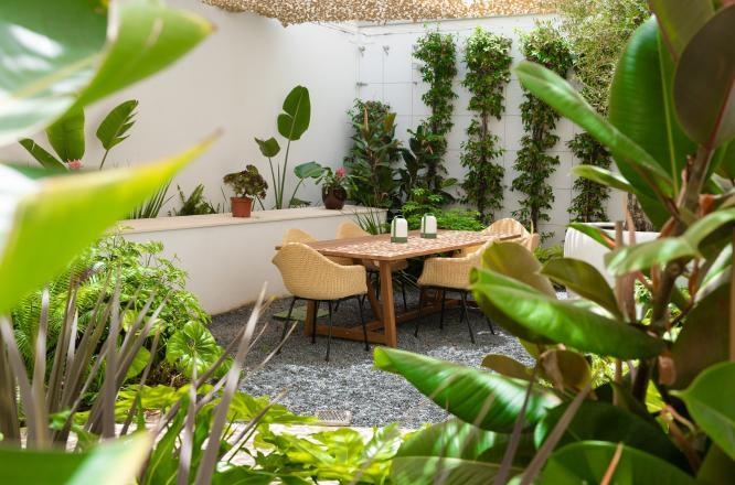 ザ スタンダード イビザ