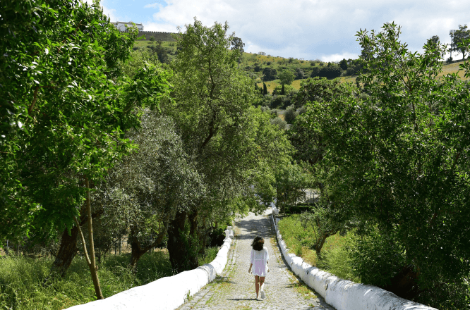 ポウサダコンベントデアライオロス,ポルトガルホテル,PousadaConventodeArraiolos