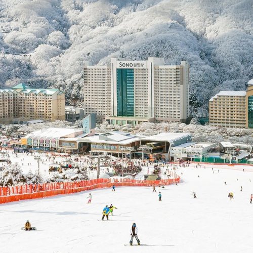 韓国・洪川ㅣソノカムヴィヴァルディパーク、ソウルから1時間半の距離にあるスキーリゾート