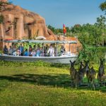 ヴィンワンダーズナムホイアン 入園チケット