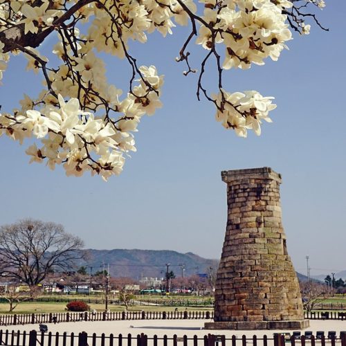 韓国・慶州ㅣ慶州のおすすめ宿、価格も設備も満足できる宿ご紹介TOP5