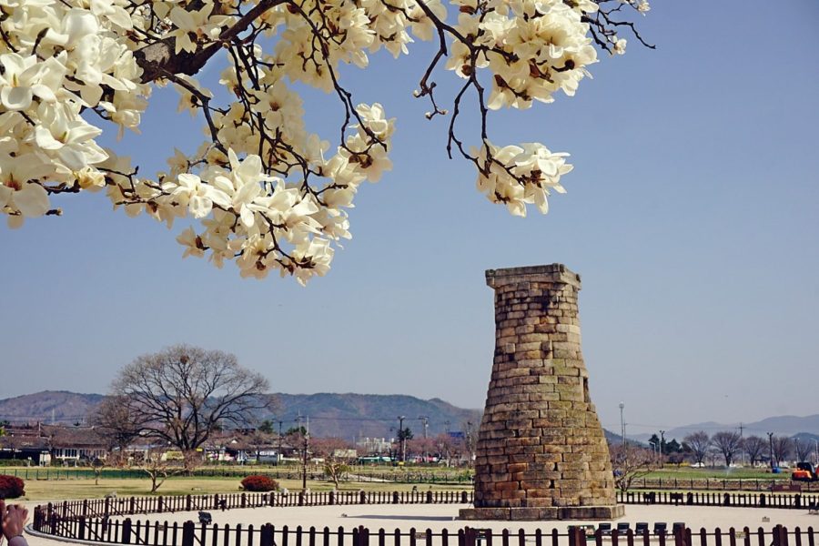 韓国・慶州ㅣ慶州のおすすめ宿、価格も設備も満足できる宿ご紹介TOP5