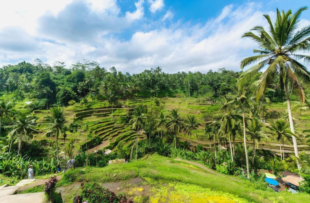 ウブドおすすめホテル