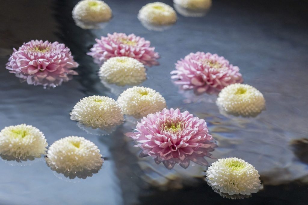 ONSEN RYOKAN 由縁 札幌