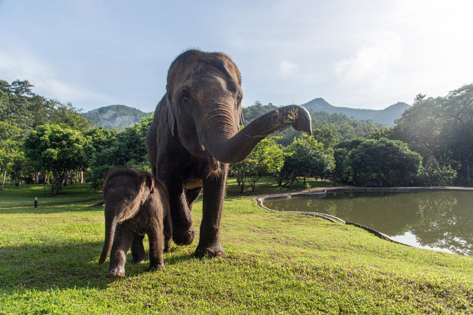 タワン リバーサイド