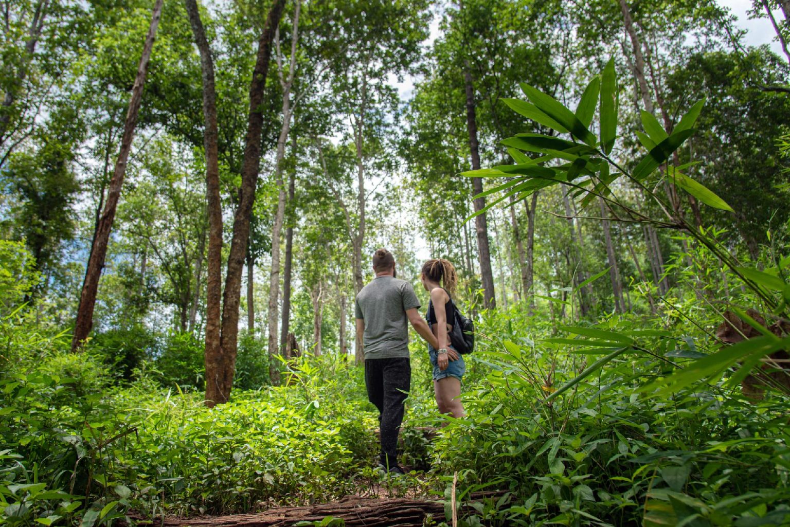タワン リバーサイド