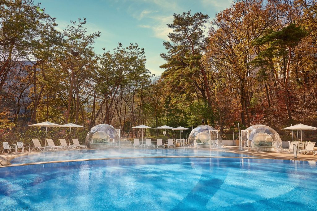 パラスパラ ソウル