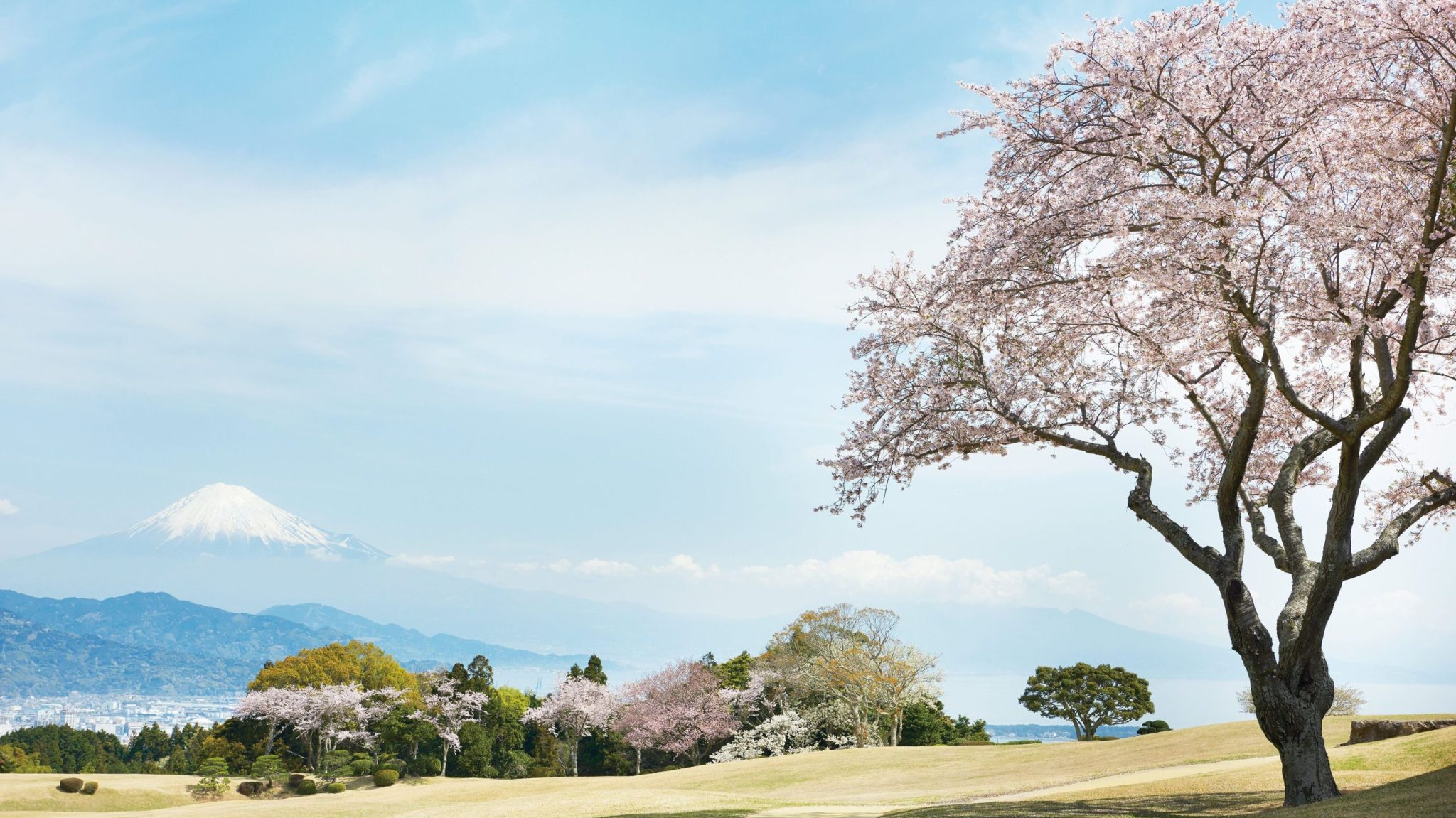 富士山の絶景を望む静岡ホテルTOP 4